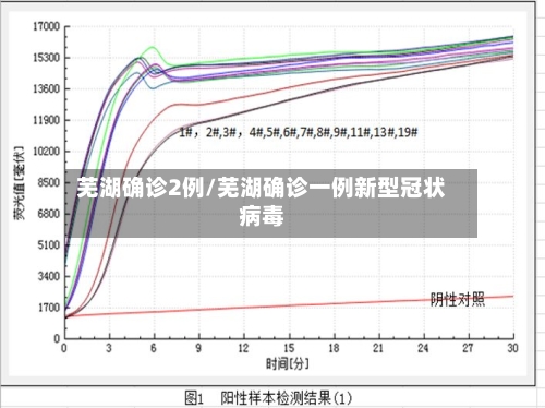 芜湖确诊2例/芜湖确诊一例新型冠状病毒