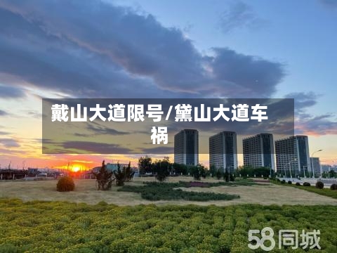 戴山大道限号/黛山大道车祸