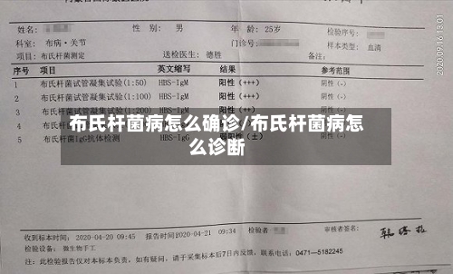 布氏杆菌病怎么确诊/布氏杆菌病怎么诊断-第2张图片