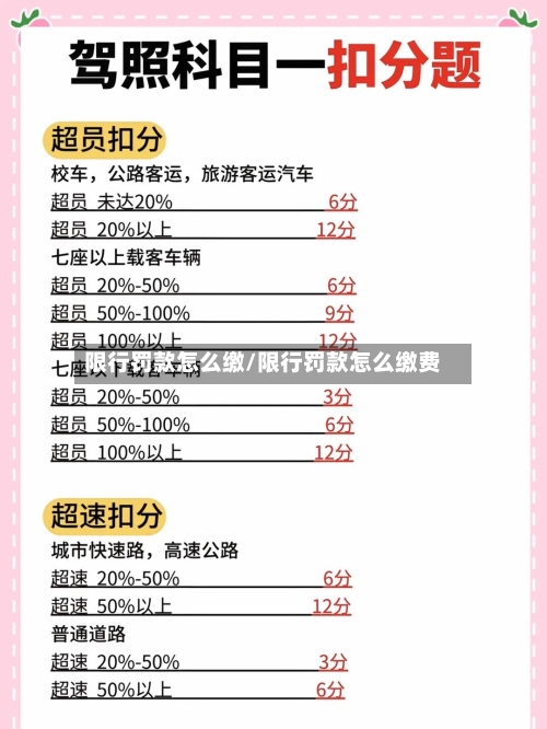 限行罚款怎么缴/限行罚款怎么缴费
