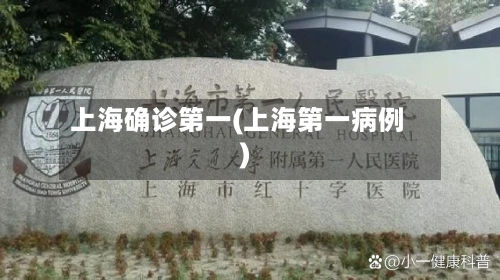 上海确诊第一(上海第一病例)-第2张图片