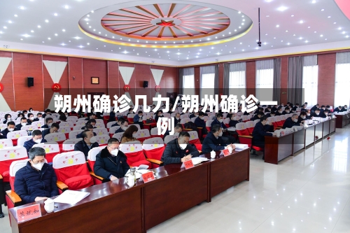 朔州确诊几力/朔州确诊一例-第2张图片