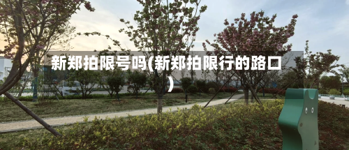 新郑拍限号吗(新郑拍限行的路口)