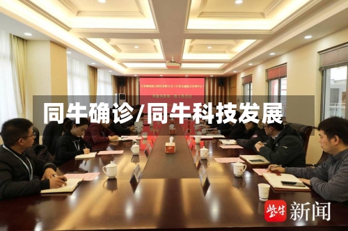 同牛确诊/同牛科技发展-第3张图片