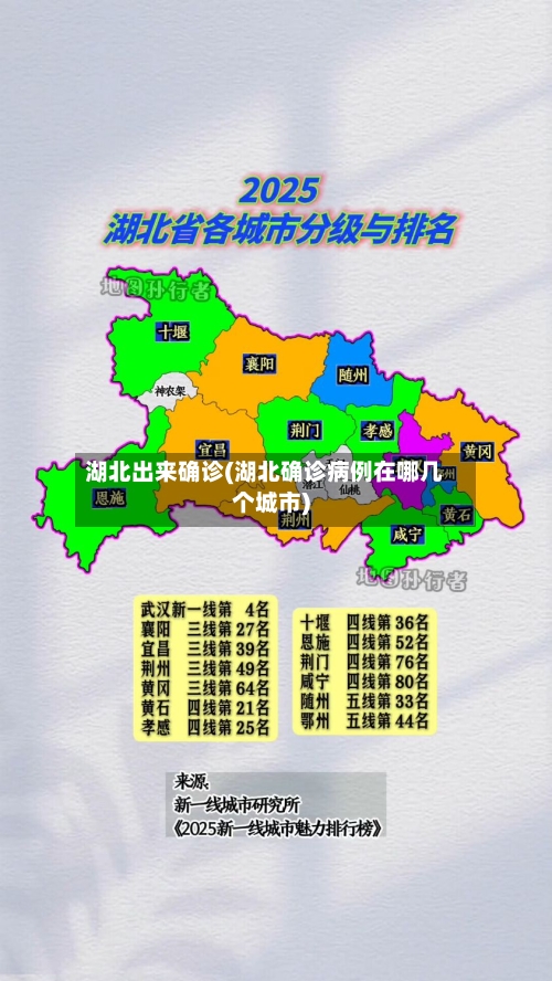 湖北出来确诊(湖北确诊病例在哪几个城市)