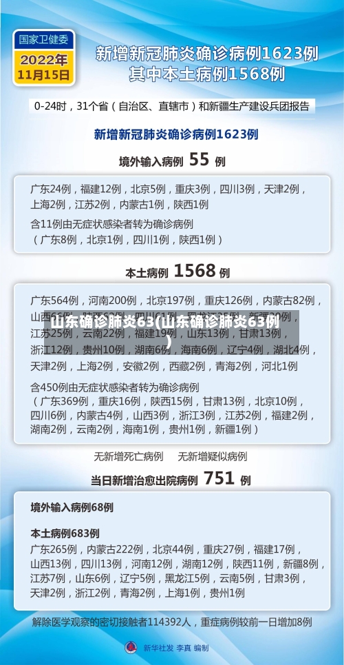 山东确诊肺炎63(山东确诊肺炎63例)-第3张图片