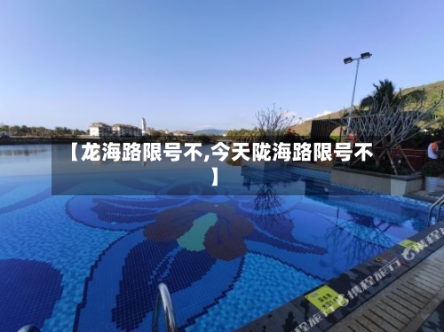 【龙海路限号不,今天陇海路限号不】-第3张图片