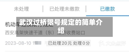 武汉过桥限号规定的简单介绍