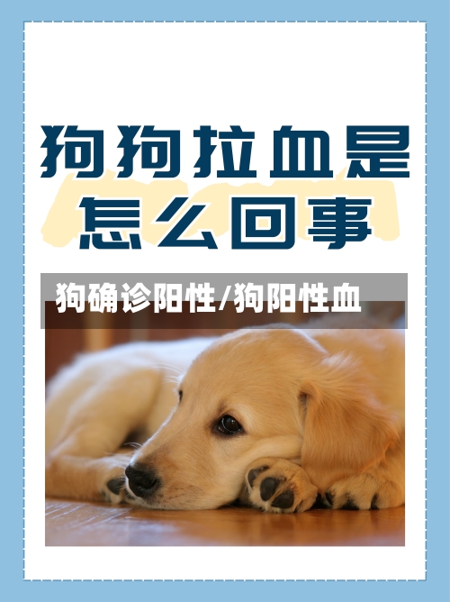 狗确诊阳性/狗阳性血