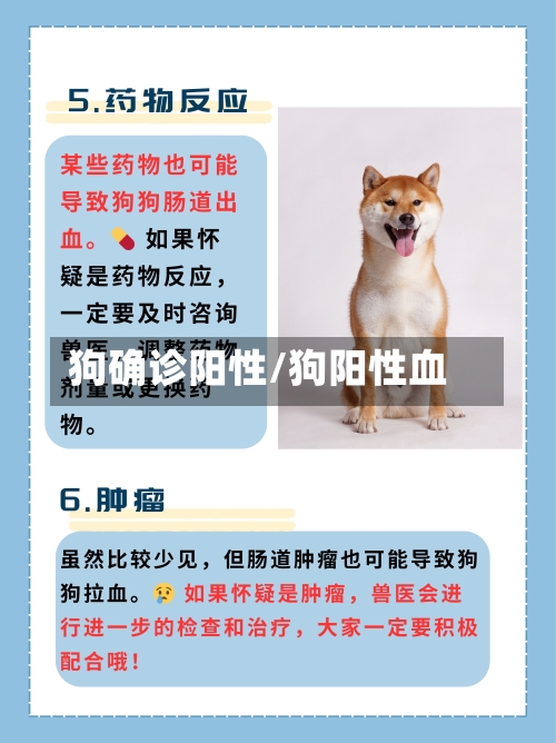 狗确诊阳性/狗阳性血-第2张图片