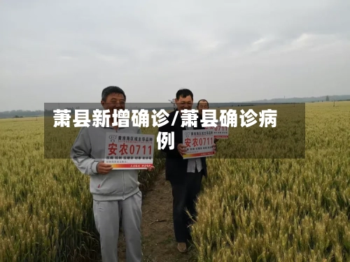 萧县新增确诊/萧县确诊病例