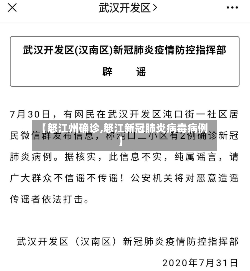 【怒江州确诊,怒江新冠肺炎病毒病例】-第2张图片