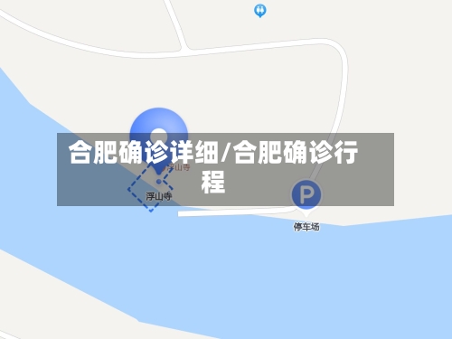 合肥确诊详细/合肥确诊行程