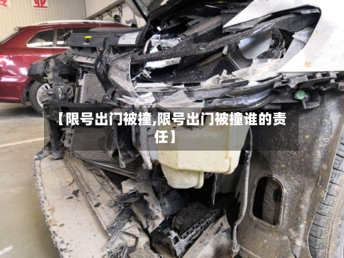 【限号出门被撞,限号出门被撞谁的责任】