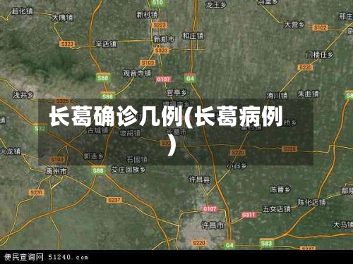 长葛确诊几例(长葛病例)-第3张图片