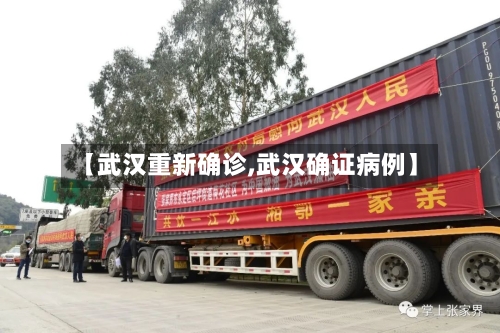 【武汉重新确诊,武汉确证病例】-第2张图片