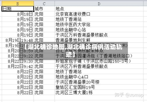 【湖北确诊地图,湖北确诊病例活动轨迹】