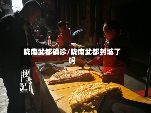 陇南武都确诊/陇南武都封城了吗