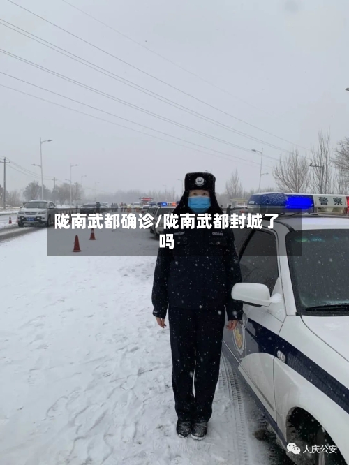 陇南武都确诊/陇南武都封城了吗-第3张图片