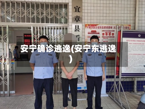 安宁确诊逃逸(安宁东逃逸)