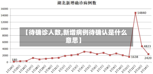 【待确诊人数,新增病例待确认是什么意思】