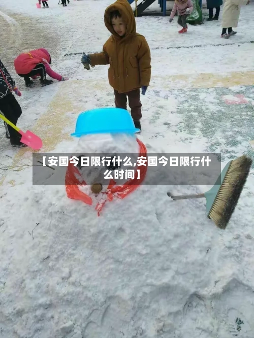 【安国今日限行什么,安国今日限行什么时间】-第2张图片