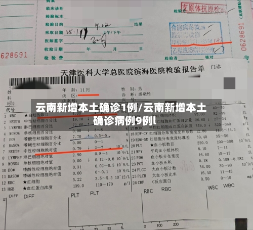 云南新增本土确诊1例/云南新增本土确诊病例9例l