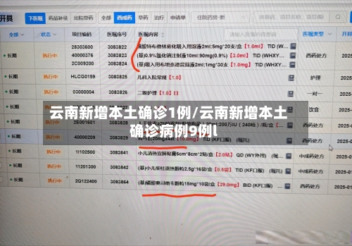 云南新增本土确诊1例/云南新增本土确诊病例9例l-第2张图片