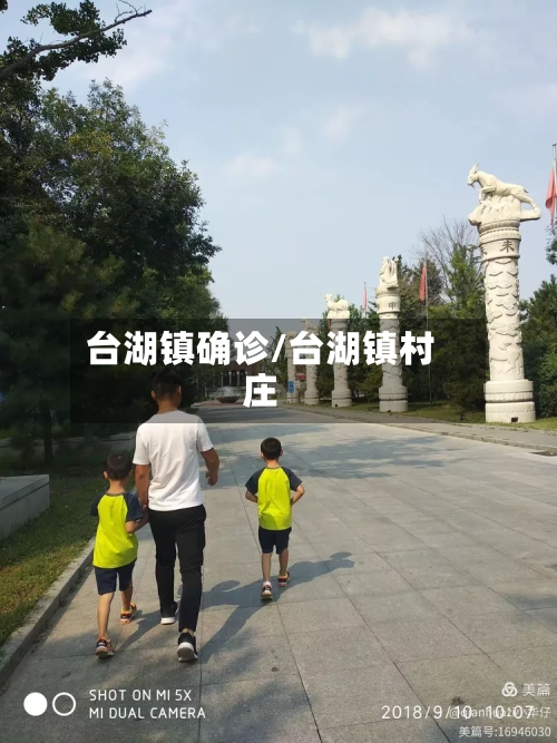 台湖镇确诊/台湖镇村庄
