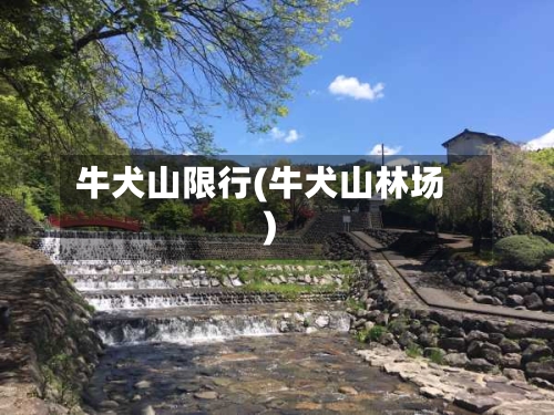 牛犬山限行(牛犬山林场)-第2张图片