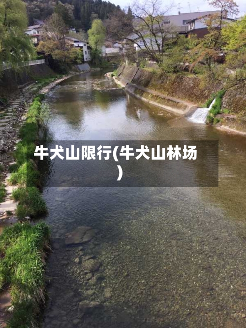牛犬山限行(牛犬山林场)