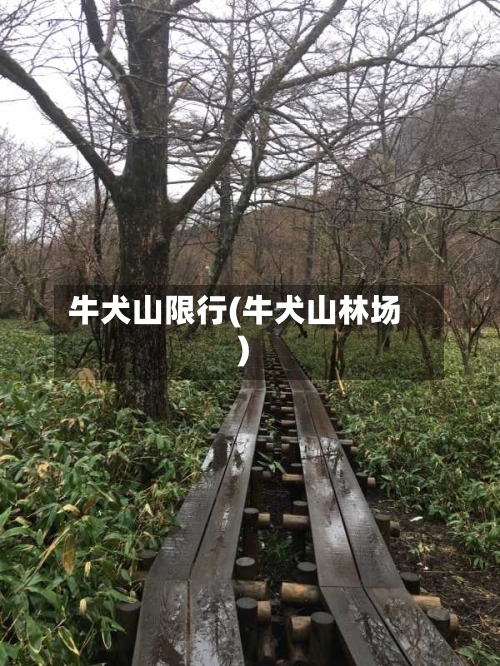 牛犬山限行(牛犬山林场)-第3张图片