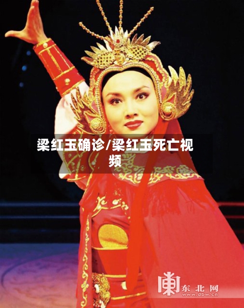 梁红玉确诊/梁红玉死亡视频