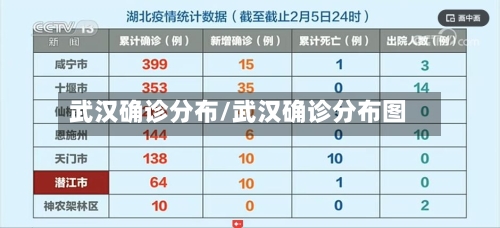 武汉确诊分布/武汉确诊分布图