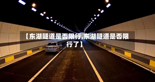 【东湖隧道是否限行,东湖隧道是否限行了】