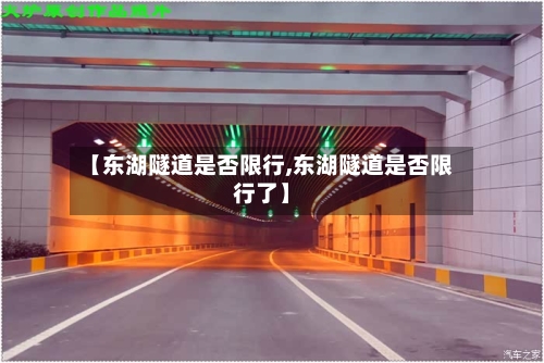 【东湖隧道是否限行,东湖隧道是否限行了】-第2张图片