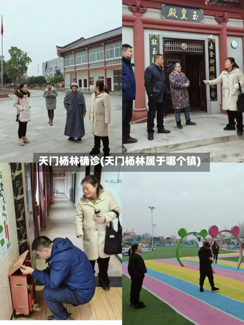 天门杨林确诊(天门杨林属于哪个镇)-第2张图片