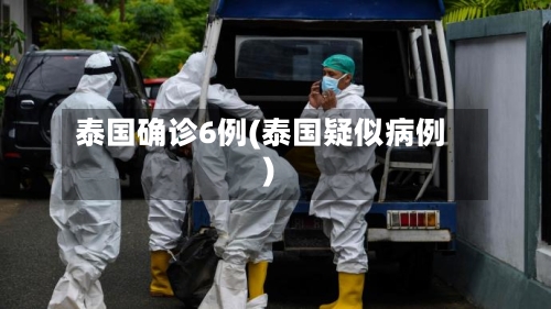 泰国确诊6例(泰国疑似病例)-第2张图片