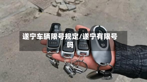 遂宁车辆限号规定/遂宁有限号吗-第2张图片