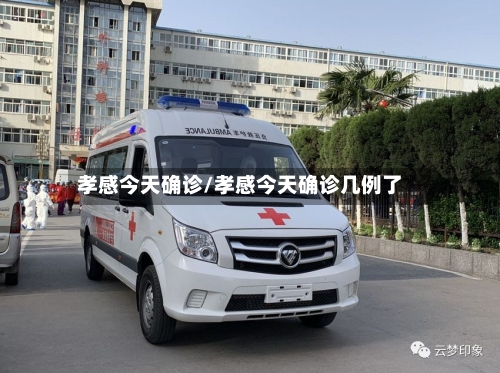 孝感今天确诊/孝感今天确诊几例了-第3张图片