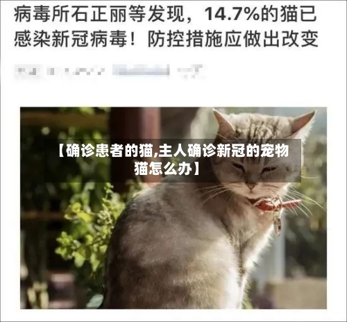 【确诊患者的猫,主人确诊新冠的宠物猫怎么办】