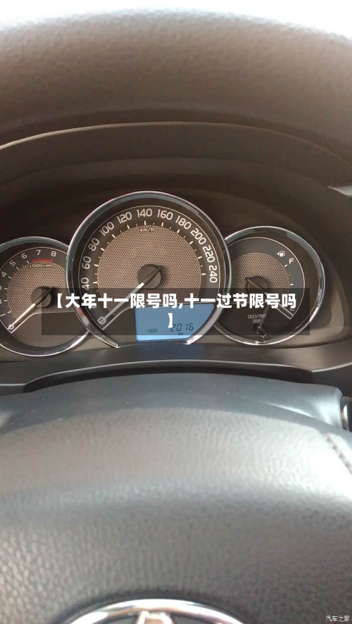 【大年十一限号吗,十一过节限号吗】-第2张图片