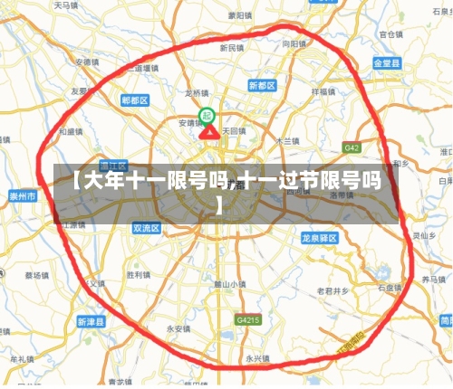 【大年十一限号吗,十一过节限号吗】-第3张图片