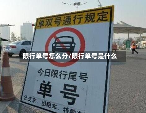 限行单号怎么分/限行单号是什么