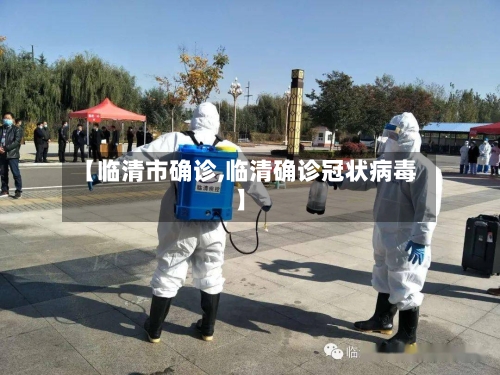 【临清市确诊,临清确诊冠状病毒】-第2张图片