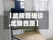 【武陵路确诊,武陵西路】-第2张图片