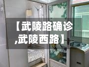 【武陵路确诊,武陵西路】