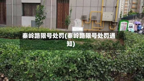 秦岭路限号处罚(秦岭路限号处罚通知)-第2张图片