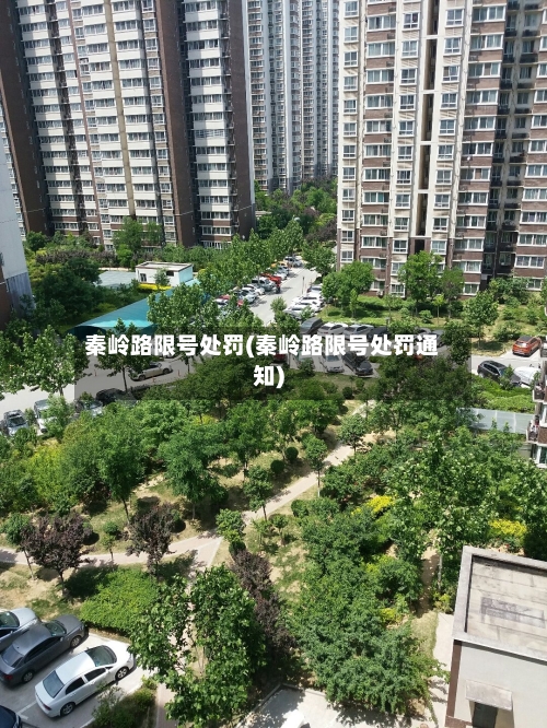 秦岭路限号处罚(秦岭路限号处罚通知)