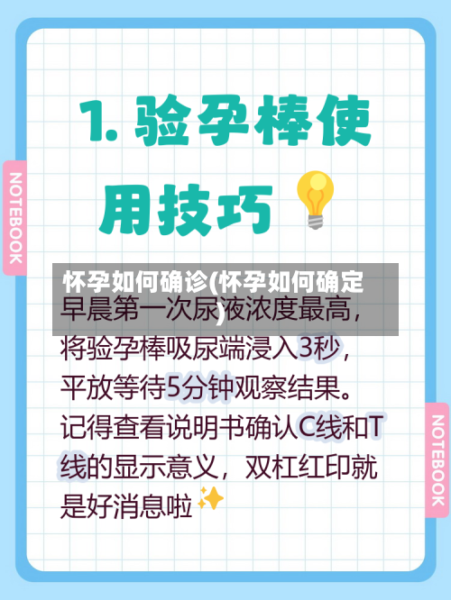 怀孕如何确诊(怀孕如何确定)